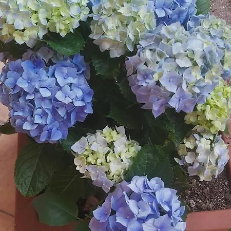 Alberghiero Eolie 4* Lipari (Isola Lipari)