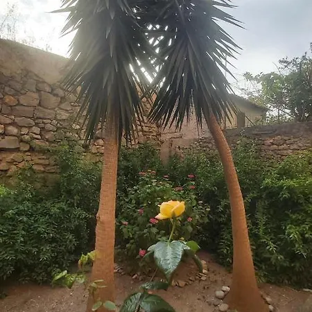 Alberghiero Eolie 아파트호텔