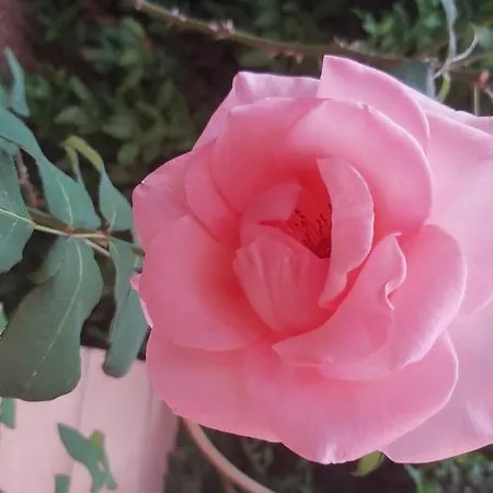 아파트호텔 Alberghiero Eolie 4*