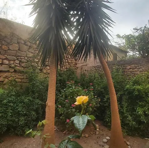 Alberghiero Eolie 아파트호텔