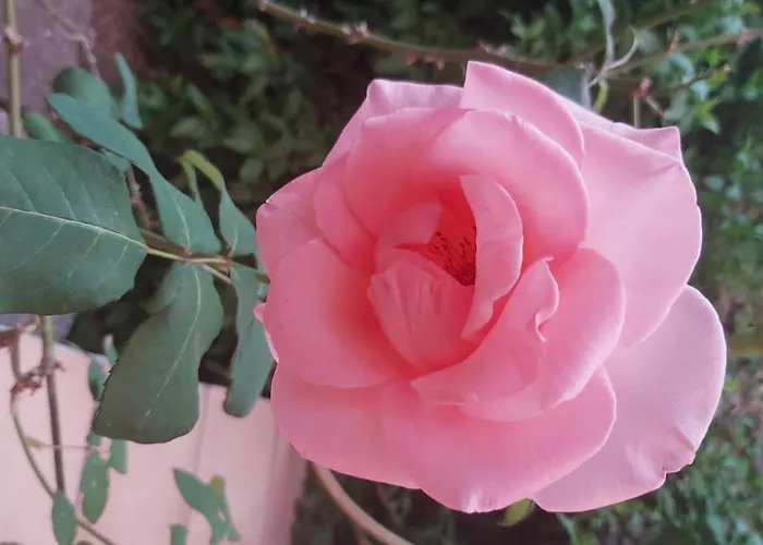 Aparthotel Alberghiero Eolie 4*