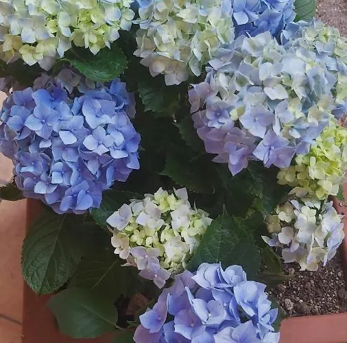 Alberghiero Eolie 4* 리파리